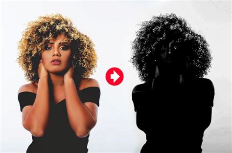 GIMP Transparent Mask 的图像结果