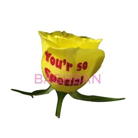 Speak Rose You'r So Special - Baghban Florist