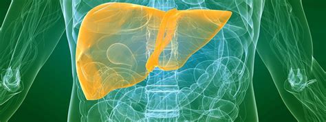 Liver Disease