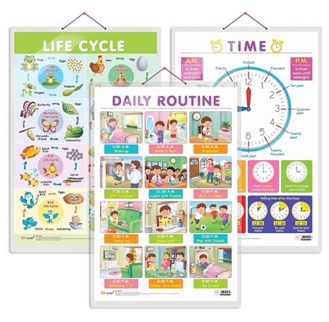 Buy Set of 3 Life Cycle, TIME and DAILY ROUTINE Early Learning ...