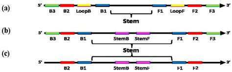 IJMS | Special Issue : Advances in Molecular Diagnostics