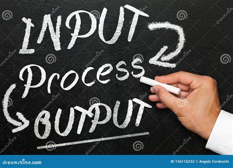 IP Input Process Flowchart 的图像结果