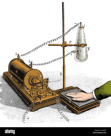 What Year Was The X Ray Invented at Stefanie Norton blog