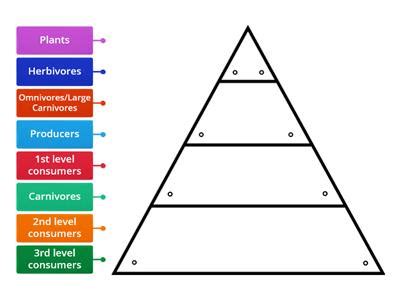 Energy Pyramid Examples 的图像结果