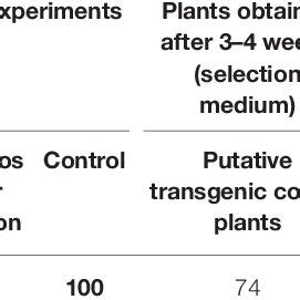 Image result for Transformation Efficiency Formula