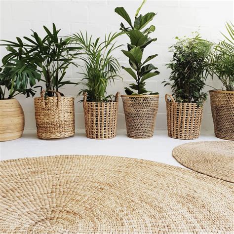 Stylish Indoor Plant Pots