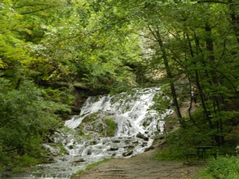 Beautiful park. - Reviews, Photos - Dunnings Spring Park - Tripadvisor