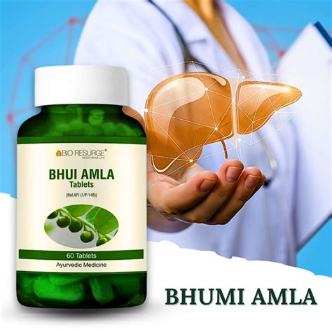 BHUMI AMLA ( For improving conditions associated with FATTY LIVER) ( B ...