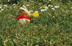 Image result for Easter Bunny Costume Kids
