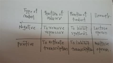 Image result for ATH Operon Positive Control and Negative Control Diagram