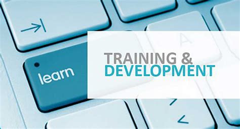 Training Development 的图像结果