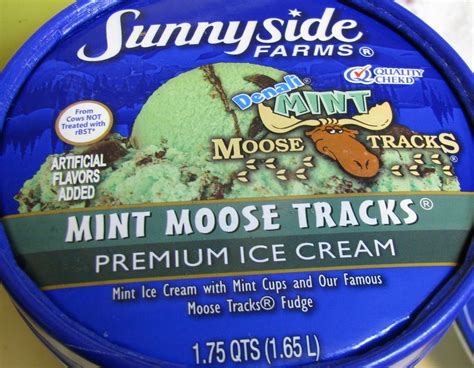 Corrie Food: Mint Moose Tracks (& Triple Vanilla) Ice Cream