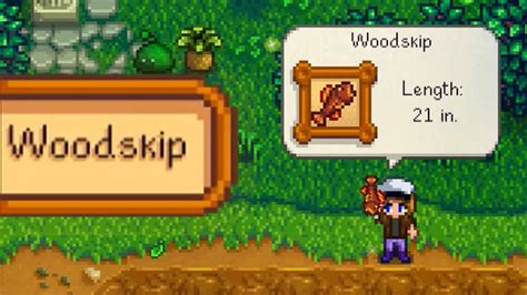 How To Catch A Woodskip In Stardew Valley