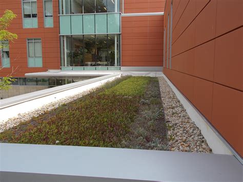 Mattapan H — Verdant Landscape Architecture