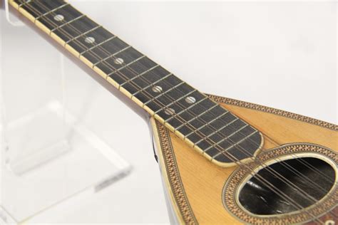 Mandolin Shaped Instrument at Judy Roybal blog