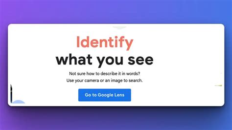 Image result for Google Lens API Python