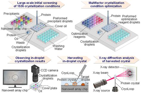 Image result for Protein Crystallization Image Magnification