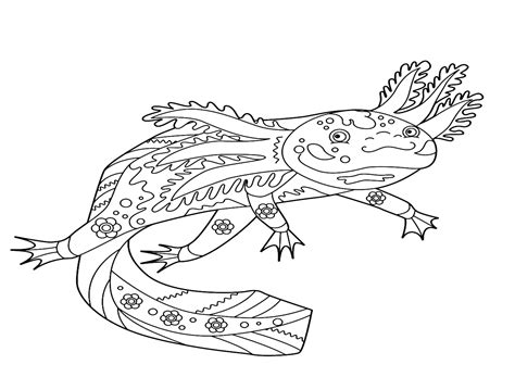 Axolotl Coloring Pages Printable - udlvirtual.esad.edu.br