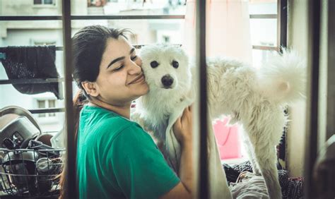 Best Pet Adoption Centres in Bangalore