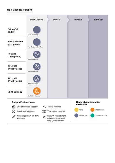 Hsv 2 Cure And Vaccine