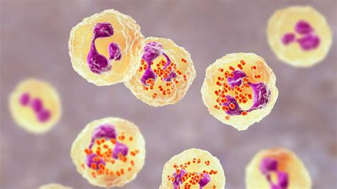 Warning over record-high surge of 'painful' STI as new vaccine rolled ...