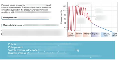 Image result for Pulse Pressure Variation Explained