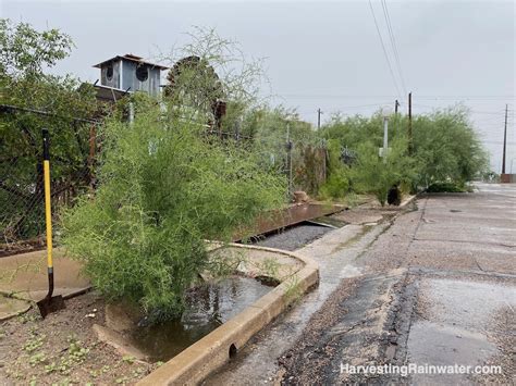 Tucson, Arizona, Green Streets Policy - Rainwater Harvesting for ...