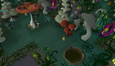 How Do You Get To Fossil Island in OSRS? - FandomSpot