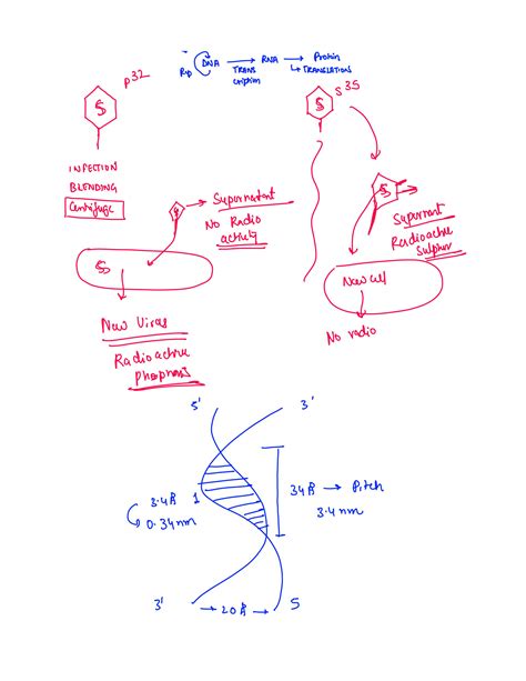 Image result for Inheritance Flowchart