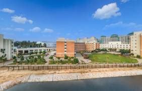 Dayananda Sagar University | Harohalli