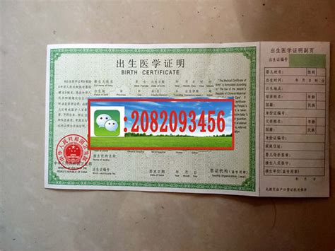 中国香港身份证，如何办理中国出生公证书？，中国公证处海外服务中心
