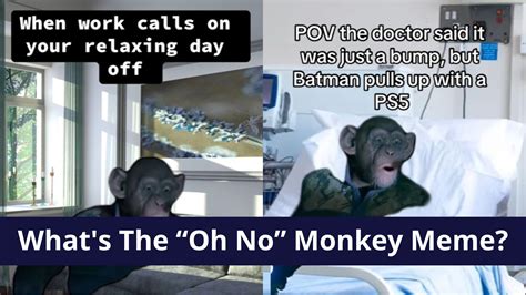 What's The 'Oh No' Monkey Meme? The Planet of the Apes' "Oh No!" Monkey ...