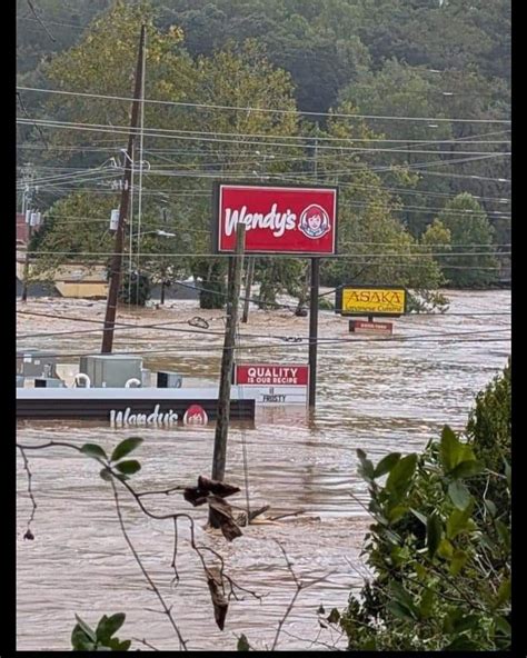 Live On Hillsborough | NOW LEASING (@liveonhillsborough) • Instagram ...