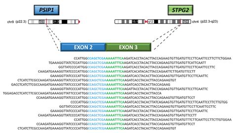 Genomic Characterization of Rare Primary Cardiac Sarcoma Entities