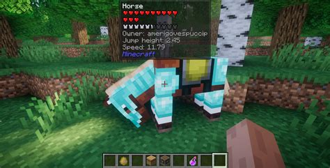 Image result for Best Minecraft Java Mods