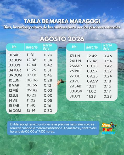Tabla de Mareas Maragogi 2026 - Vivo Porto de Galinhas | ES