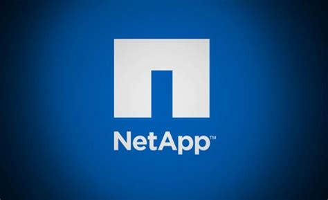 Image result for NetApp Inc