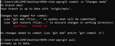 Image result for PIP Repo