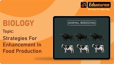 Watch The Process of Inbreeding Online in HD | ZEE5