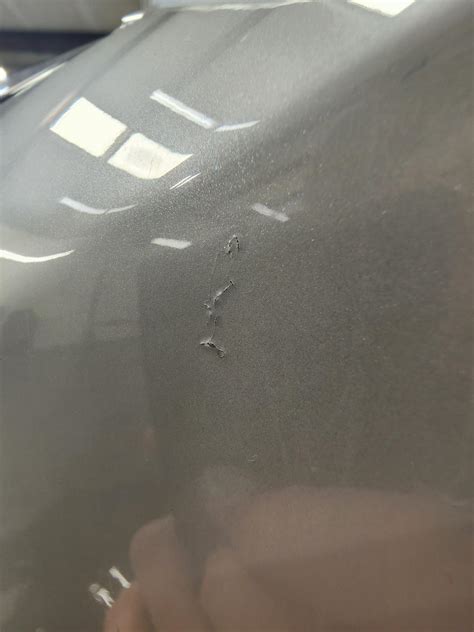 Austin Model Y paint : r/RealTesla