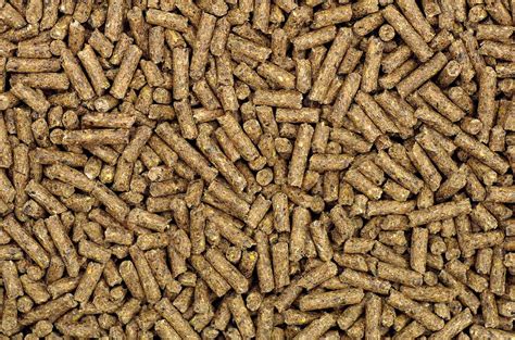 CZ Grain Layer Feed Pellets for Chickens - Designed for The Whole Laying Period (8 Ounces ...