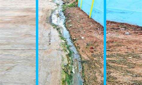 களக்காட்டில் தெருவில் ஓடும் சாக்கடை நீர்- நோய் பரவும் அபாயம் | Sewage ...