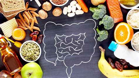 Gut Health Supplements: Probiotics, Prebiotics, and More – Outlastlabz