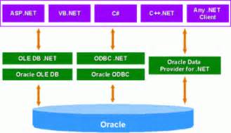 Net and Oracle Database 的图像结果