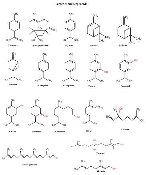 Utilization of Plant-Derived Essential Oils as Natural Alternatives for ...
