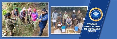 Activities : Hill Social Welfare Society