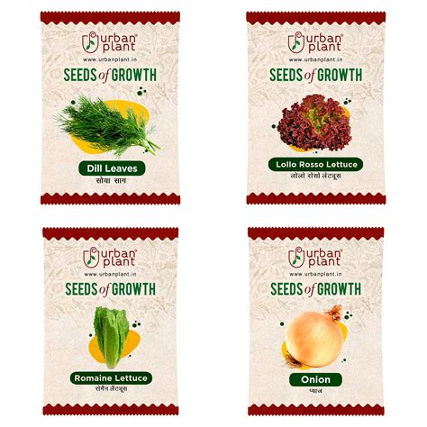 Dill Leaves Lollo Rosso Romaine Pink Onion Seeds Bundle of 4