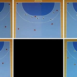 Tracer Recall Example 的图像结果