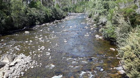 Nature River 的图像结果