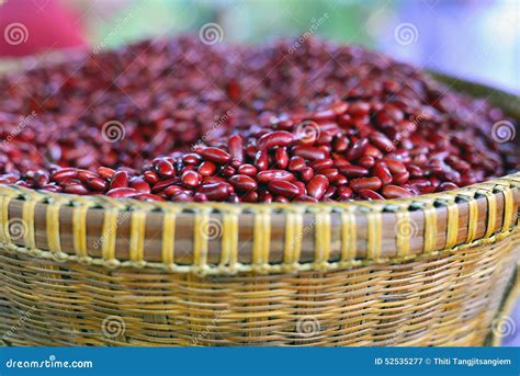 Red bean stock image. Image of paste, plants, resistance - 52535277